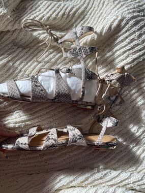 SCHUTZ Snake-Print Lace-Up Gladiator Sandals in Taupe and Black